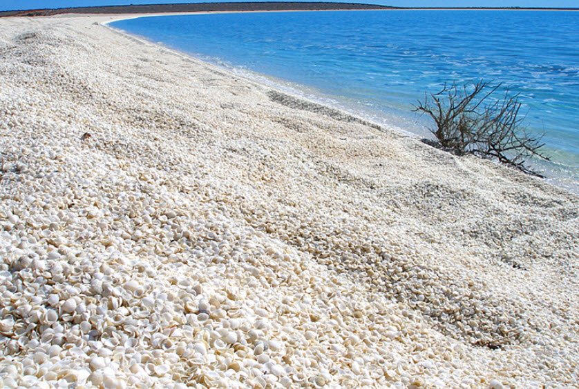 Shell Beach, Australia